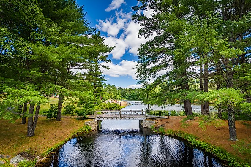 Bridge and pine trees in Bear Brook State Park, New Hampshire.