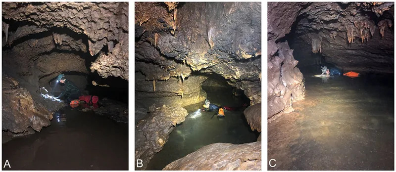Escape to Bender's cave. (A) Low ceiling and shallow water; (B) collecting fossils underwater in one of two large chambers; (C) snorkel test in deep water; note the plaster covering on the ceiling and walls (All dimensions are in millimeters). (CREDIT: Quaternary Research)