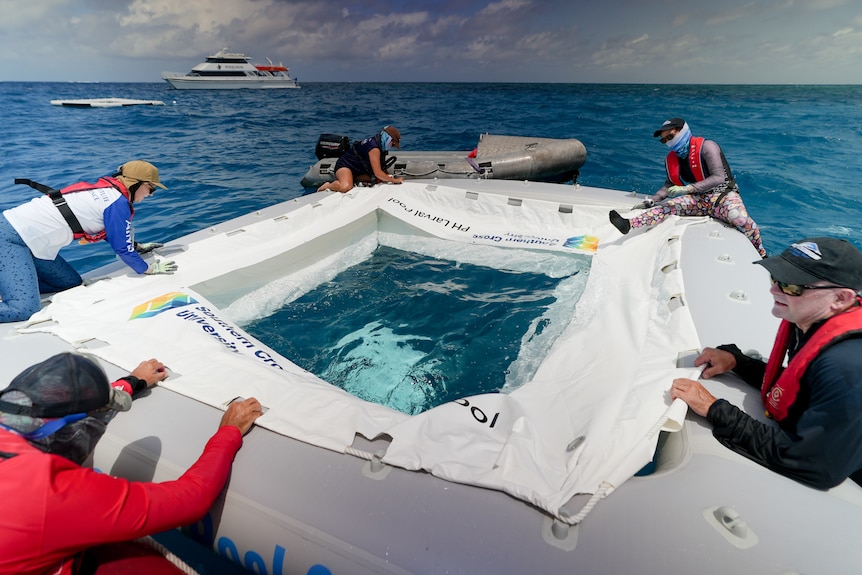 What looks like a wading pool in the ocean.