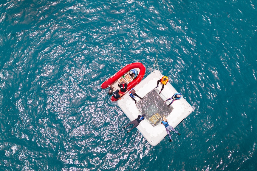 Aerial view of a white pool with nets in the middle and a rubber boat next to it.