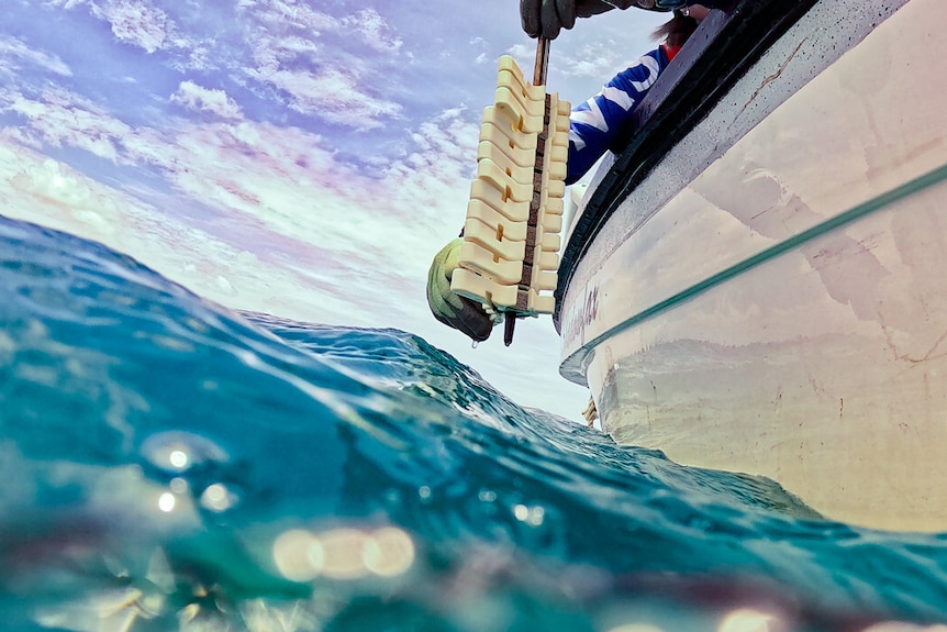 A series of white triangular devices hanging from the end of the boat, ready to be thrown into the sea.