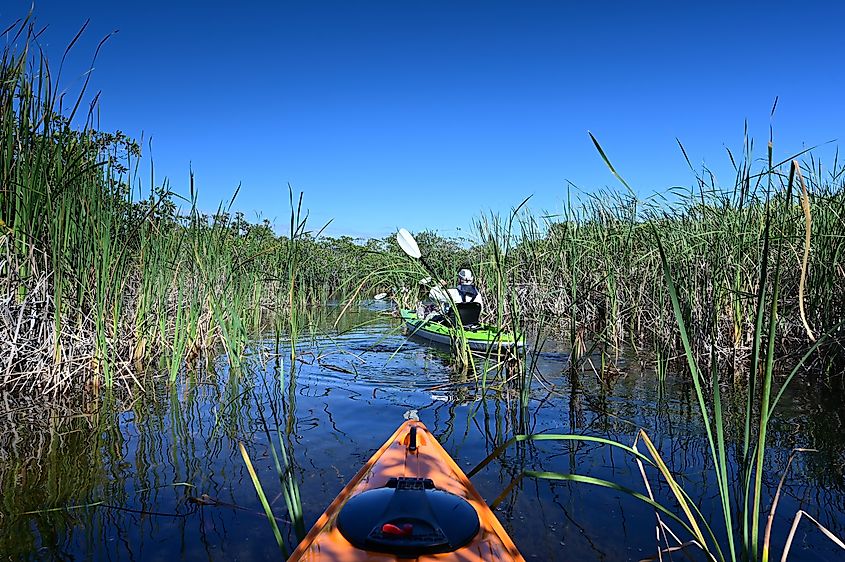 People kayaking at Nine Mile Lake in Everglades National Park, Florida.