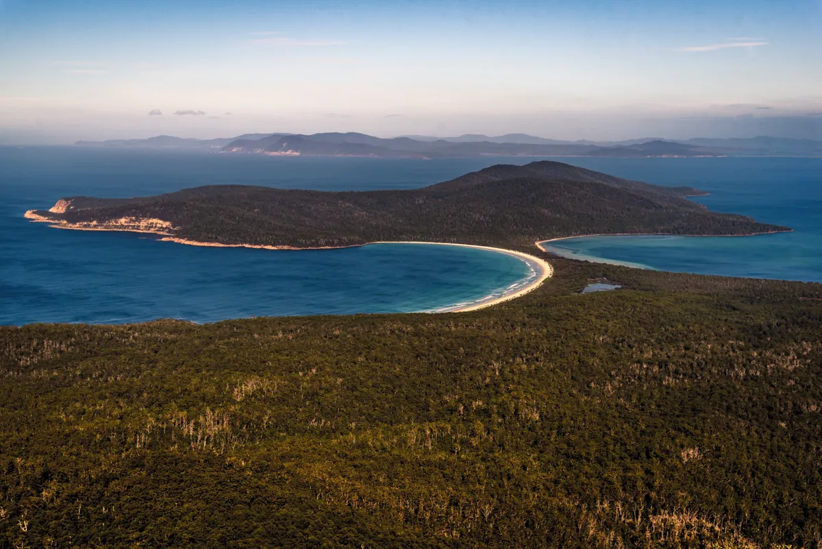 A zookeeper went to a former penal colony in Australia and found it full of adorable wombats | Find Wildlife