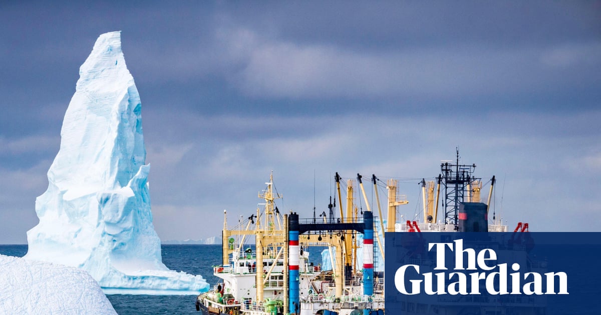 Antarctic whaling is threatened by krill fishing