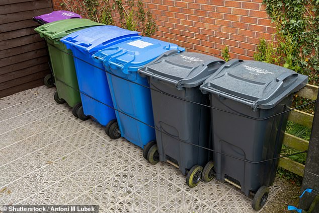 Households will now separate their waste into four different bins (stock photo)
