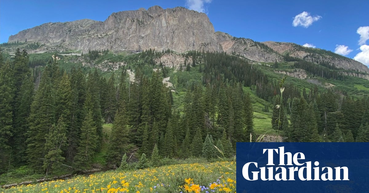 The rise of the bush: what happened when scientists warmed the Rocky Mountain wilderness by 2C?