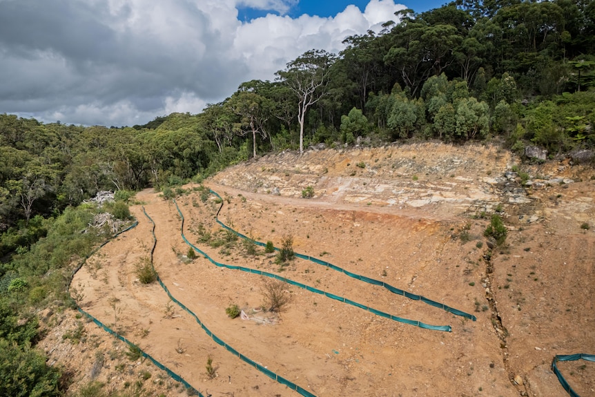 The tree is said to have cut a place on the mountain when the sun was shining.