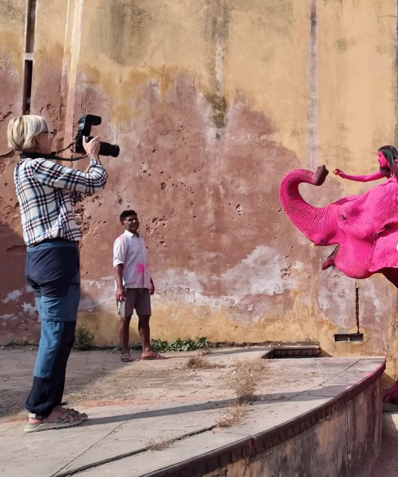 Photographer Julia Buruleva insisted that the elephant is