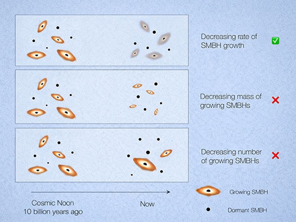 This comparison shows three explanations being considered for the decline in SMBH growth. The top panel shows low consumption rates, the middle panel shows supermassive black holes, and the bottom shows an actively growing SMBH. Credit: Penn State/Z.Yu