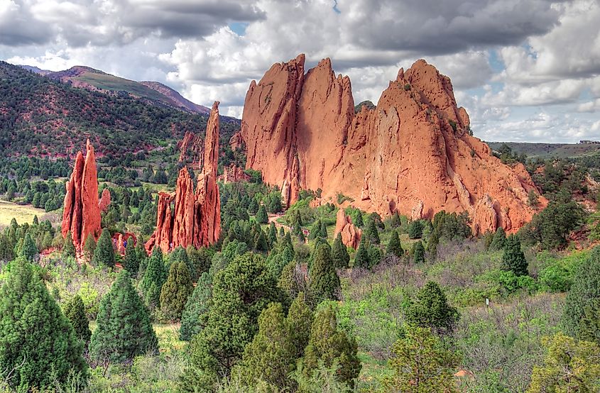 8 Most Common Rattlesnake Sites in Colorado